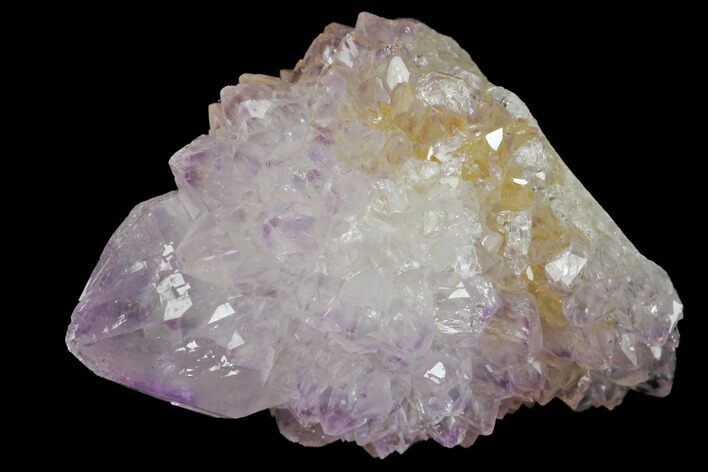 Cactus Quartz (Amethyst) Crystal - South Africa #132450